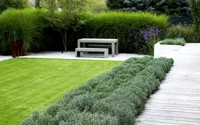 Spring. Architektura krajobrazu